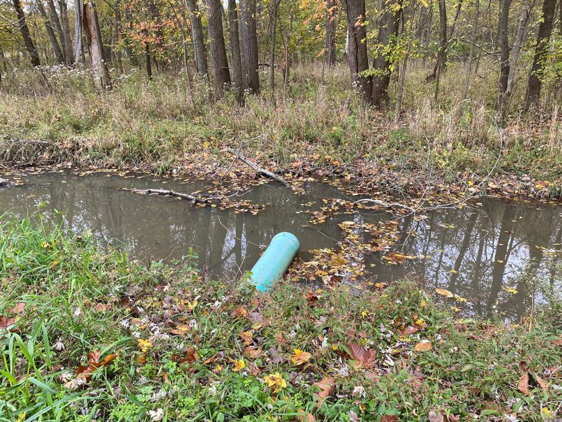 pics from late 2021 and early 2022. New plots being planted in Aug 2023 for new pics (8)