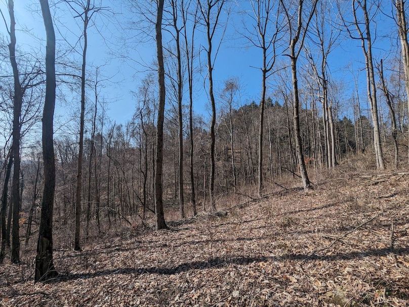 PXL_20240223_174956053