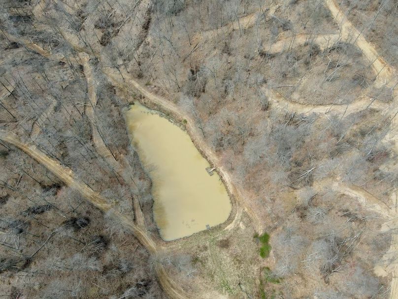 dji_fly_20240329_131002_595_1711732216609_photo