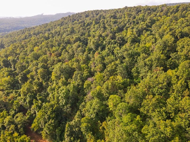 dji_fly_20250826_084130_699_1756215703285_photo