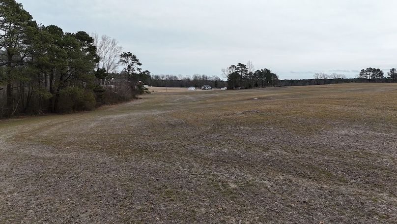 dji_fly_20260218_164536_0032_1771452056007_photo