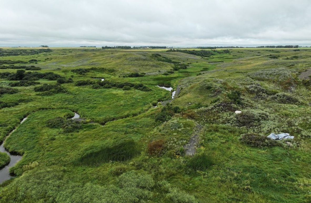 Copy of DJI_20250704140843_0616_D