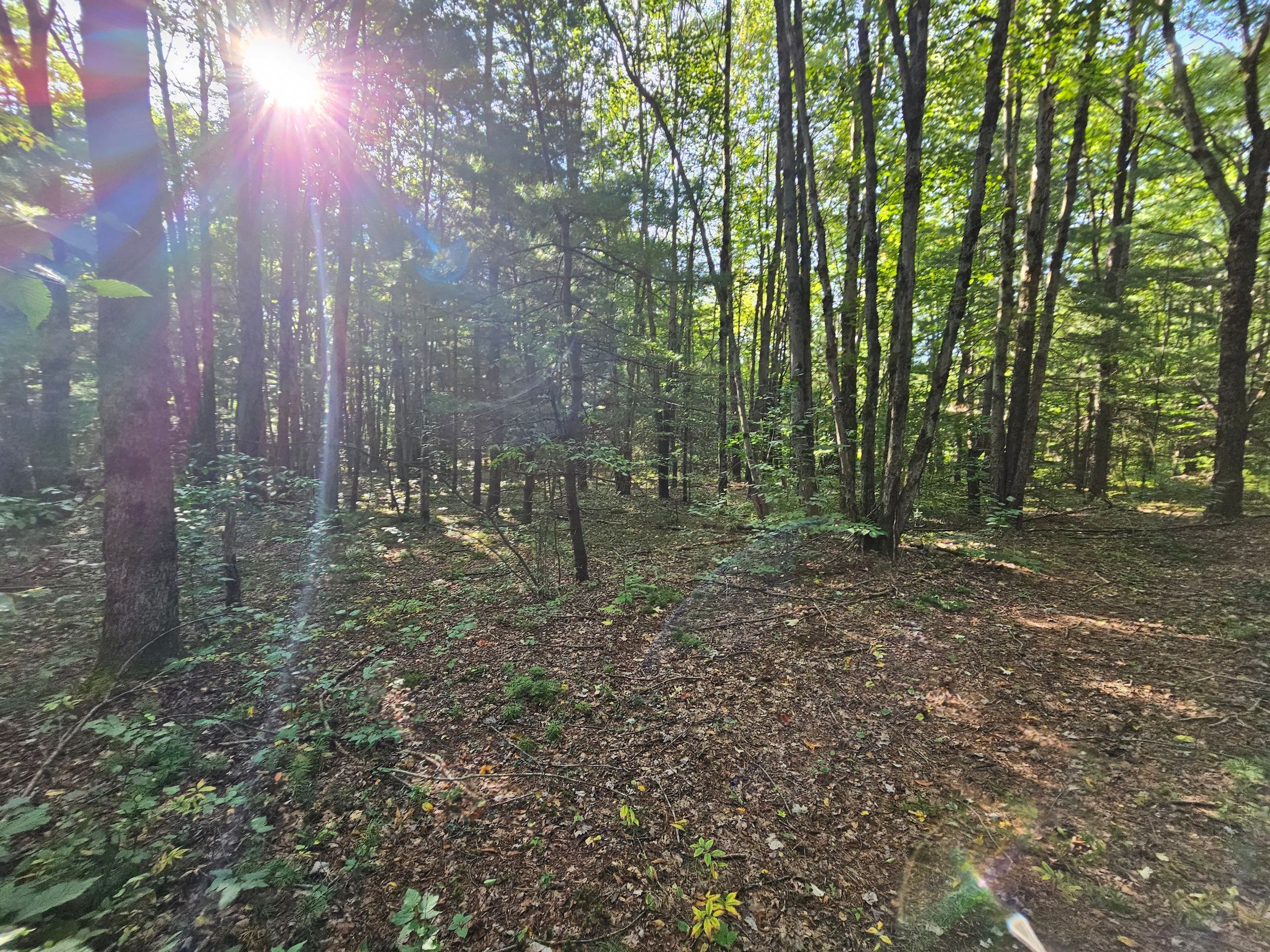 Furnished Hunting Camp Borders NYS Land Whitetail Properties