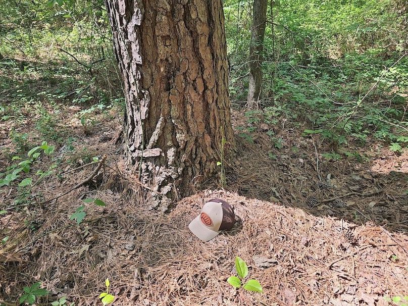 2.72ac_St Marys Rd_QAnnes_12