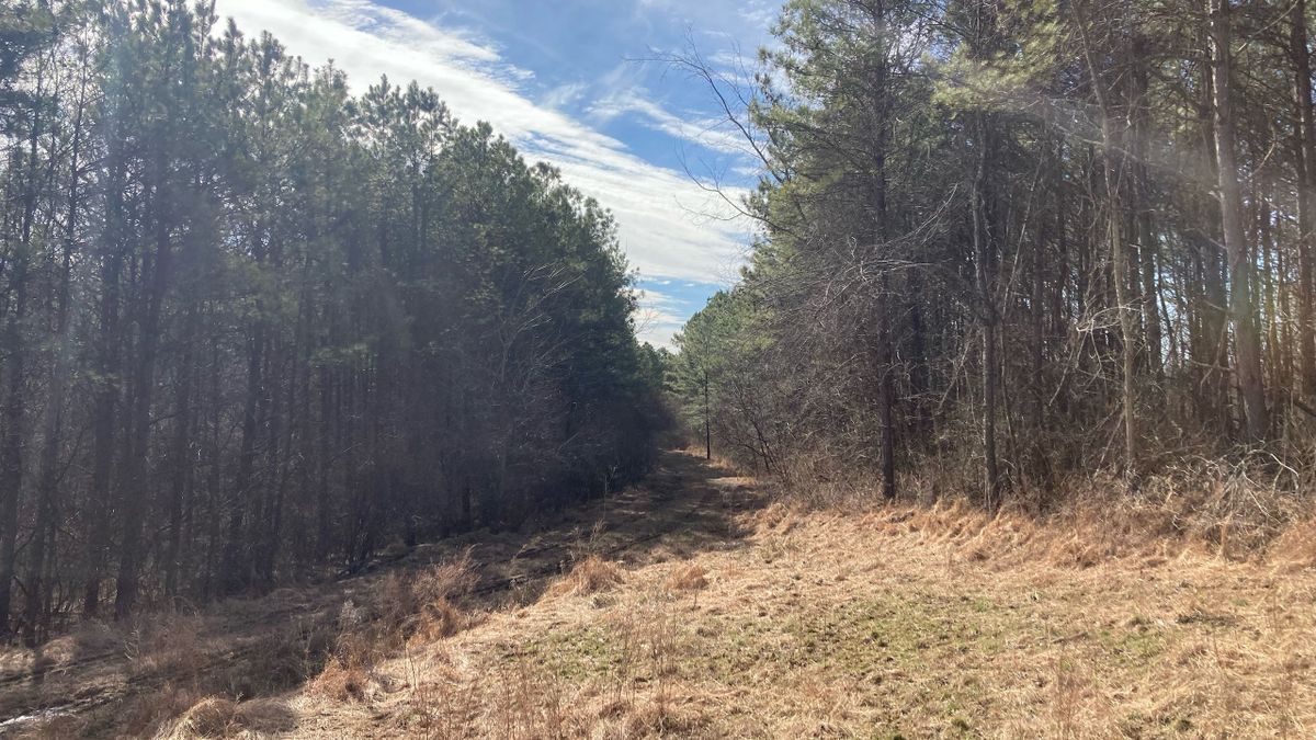 Property Features Include Rolling Hills, Good Bedding Cover And Open