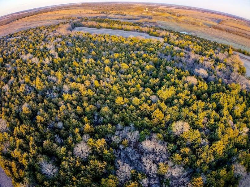 DJI_20251220164410_0171_D