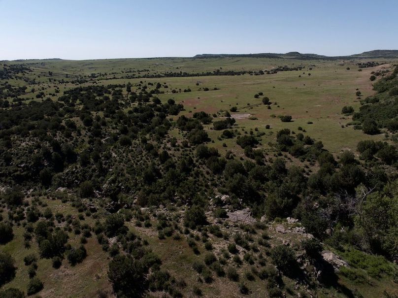 DJI_20250619093410_0017_D