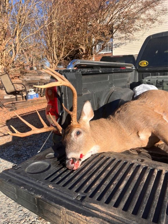 299D1342-5BFC-44E7-B3C4-654F4844AA1E