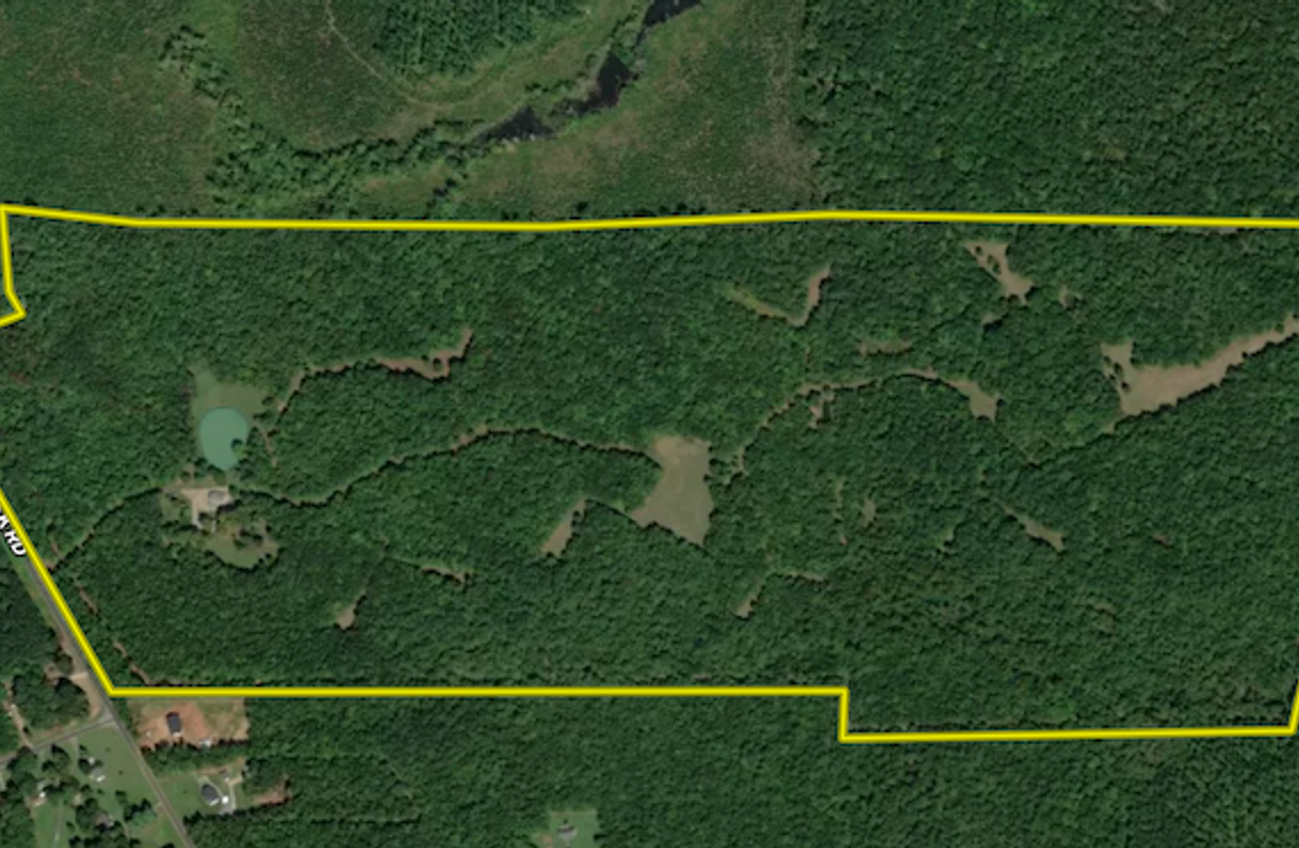 Screenshot 2026-03-03 131023