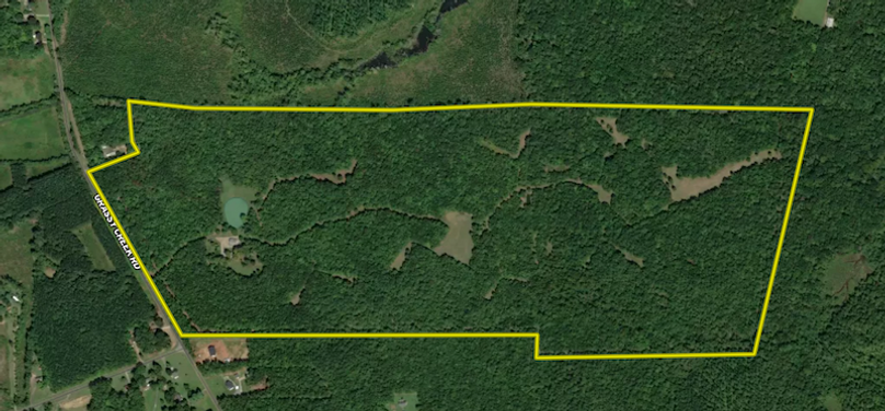 Screenshot 2026-03-03 131023