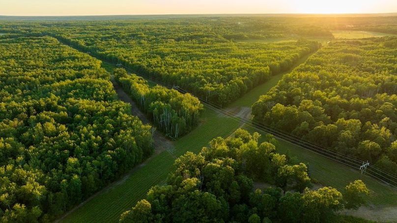 Cass MN 1095 Featured ProPhoto-99