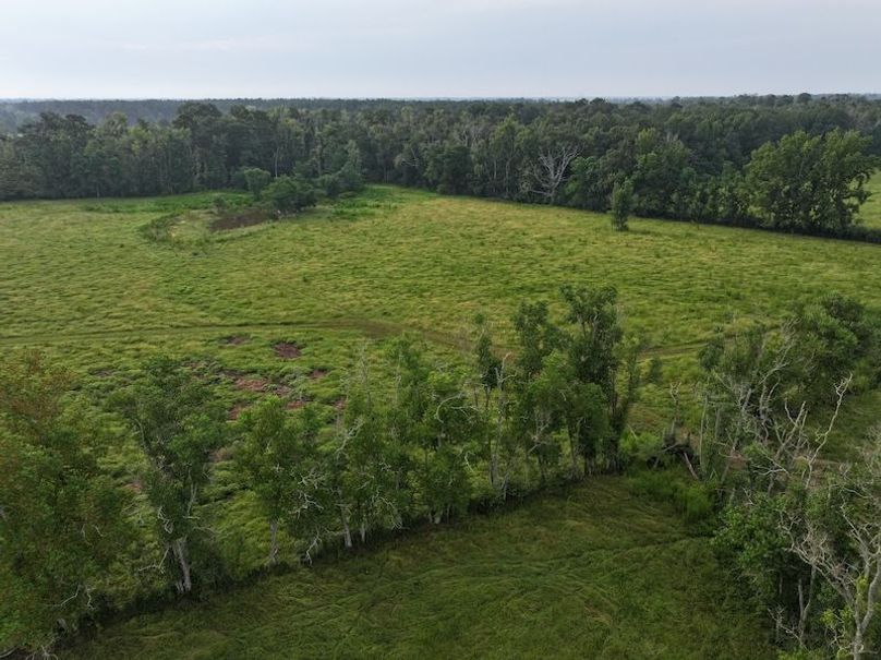 dji_fly_20250730_083016_0309_1753888801547_photo