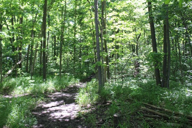 trail 32
