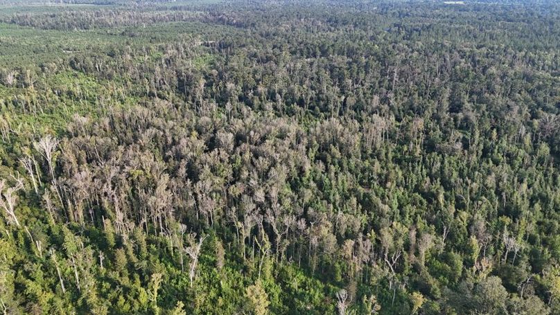 dji_fly_20250903_215806_0013_1756926961641_photo