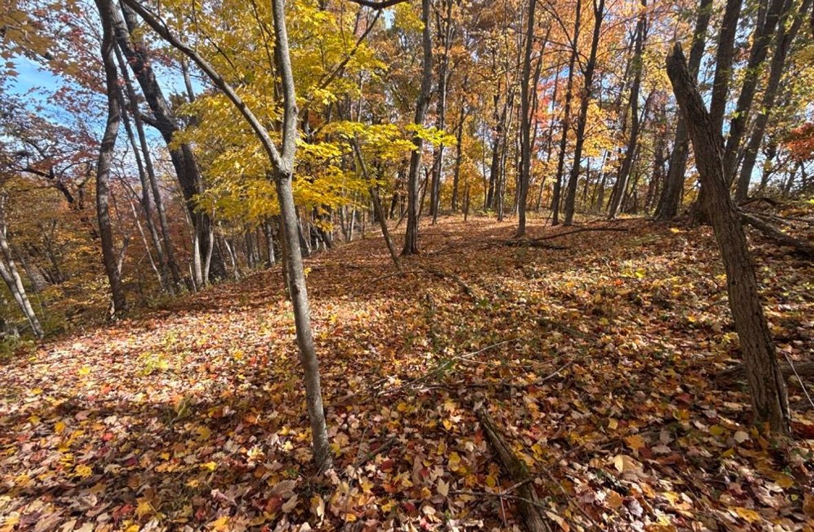 002 Vibrant fall foilage covering the long ridge point over looking the forks below