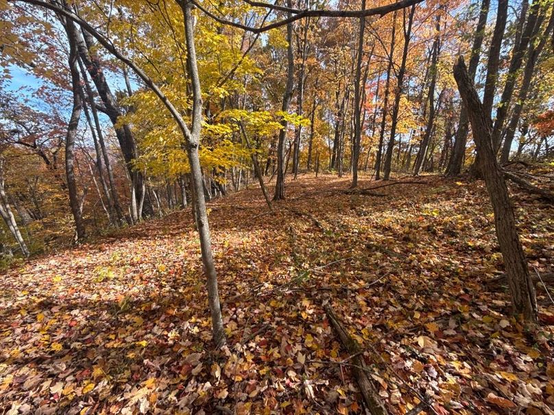 002 Vibrant fall foilage covering the long ridge point over looking the forks below