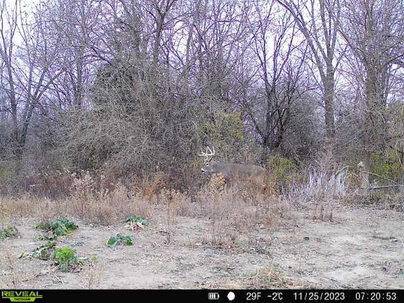 868032067149447-60-4-11252023072054-V-W1004263