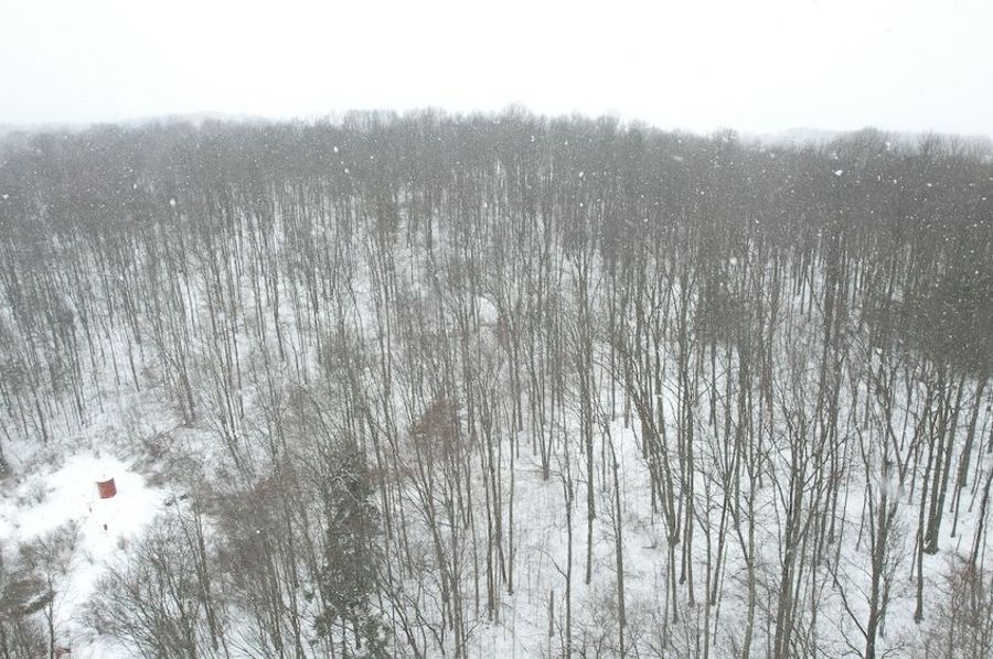 dji_fly_20250107_105116_869_1736265284462_photo