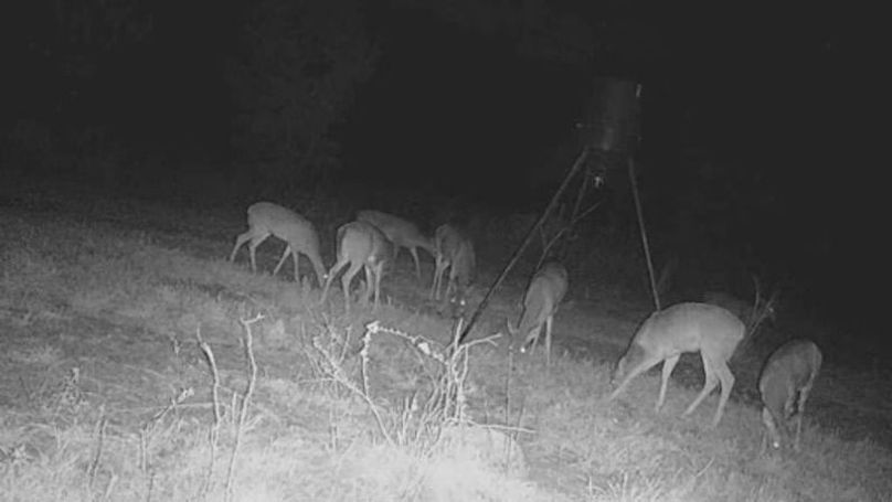 24031020182901006184