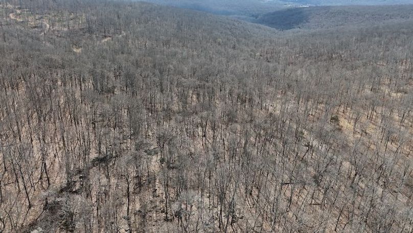 stone8020260307_0060