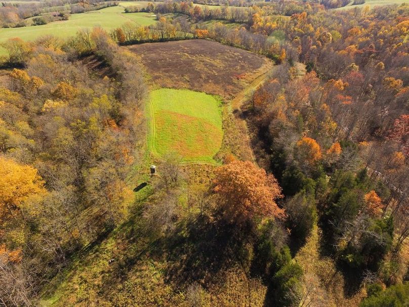 Fleming Petry 115-09