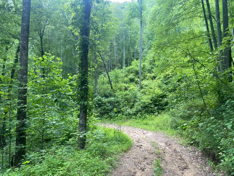 Swain 39 Tysinger-22