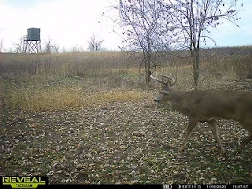 865509050418056-50-4-11162023154823-W1003317