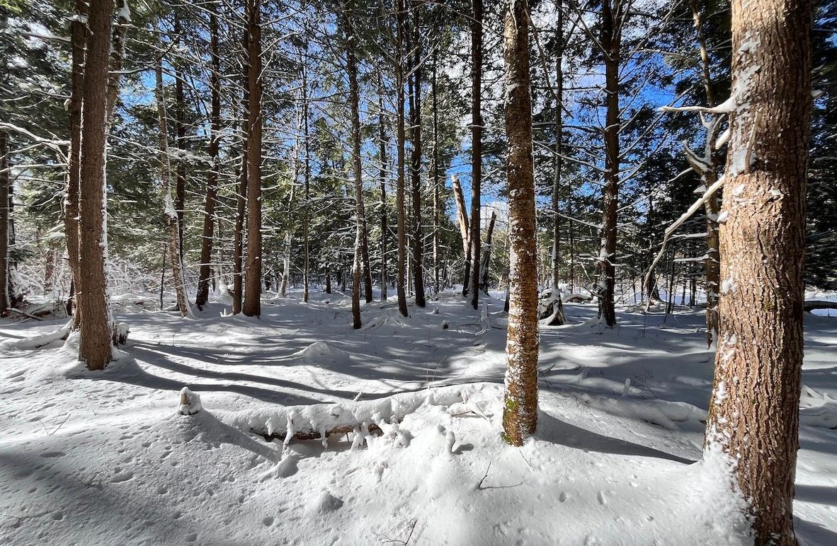 Oswego_11.78_Somberg Photo 4