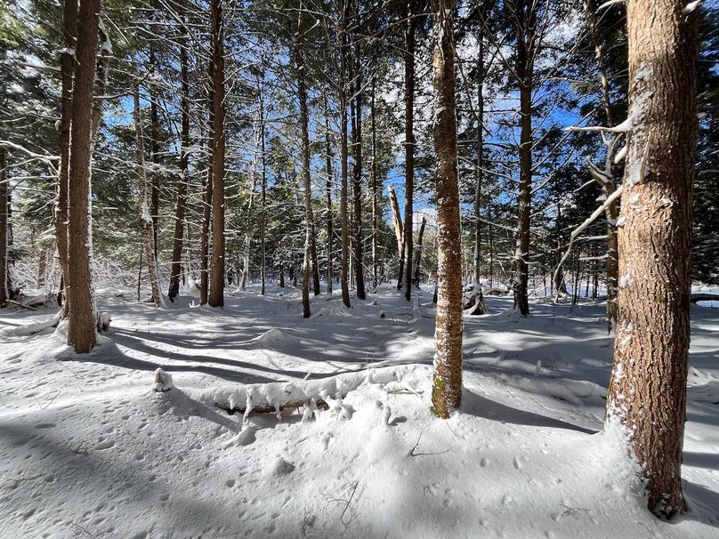 Oswego_11.78_Somberg Photo 4