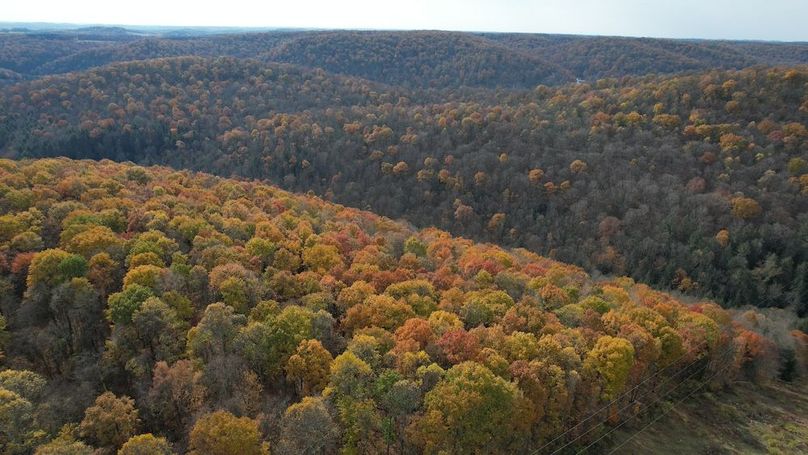 dji_fly_20251105_123422_913_1762380910510_photo