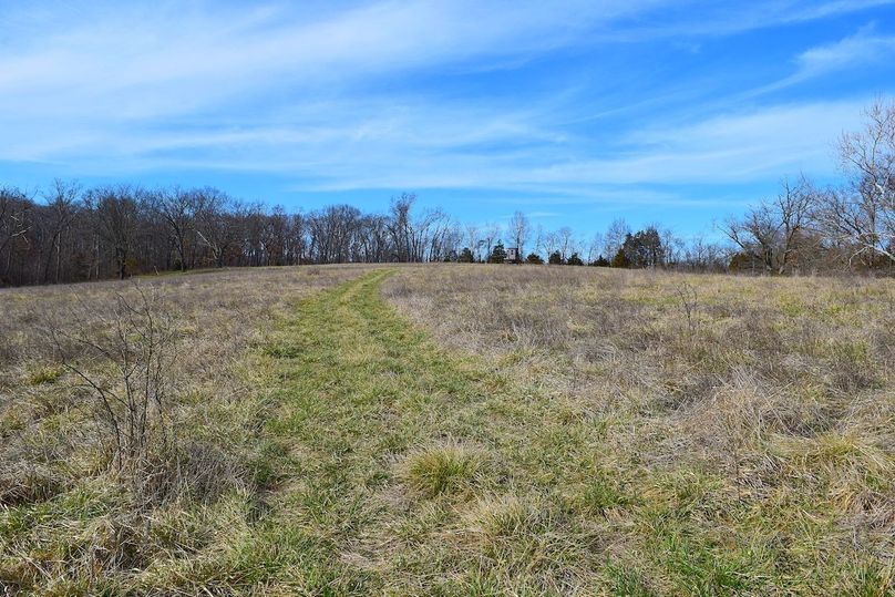 DSC_0294_inPixio (2)