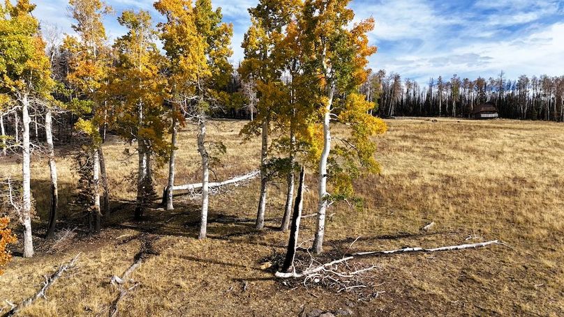 DJI_20250927094406_0235_D