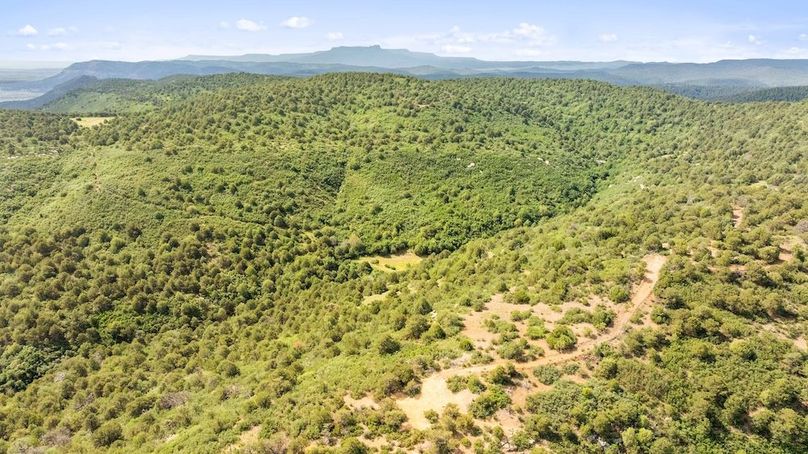 DJI_20250701113348_0049_D_1