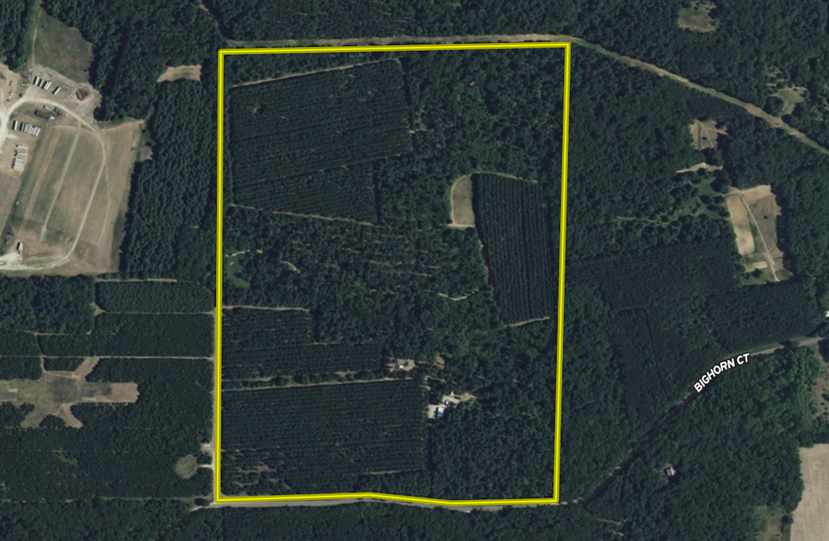 Screen Shot 2025-06-25 at 11.01.56 AM