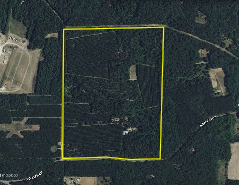 Screen Shot 2025-06-25 at 11.01.56 AM