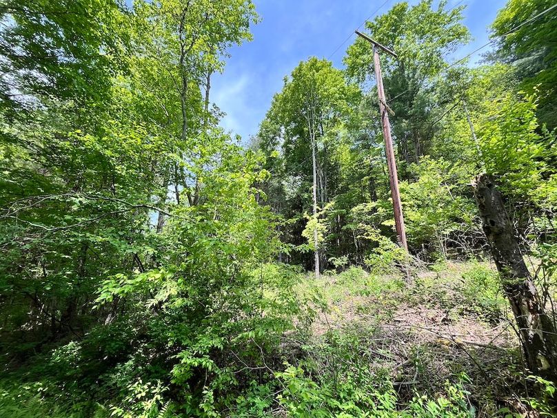 Tioga_78_Biada_Photos_104