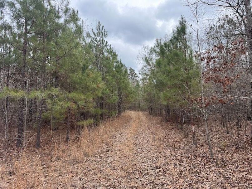 311 new20260217_0482