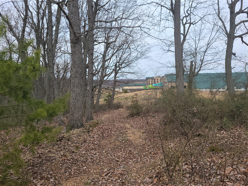 2.87ac_CokesburyRd_CECIL_PIC_015