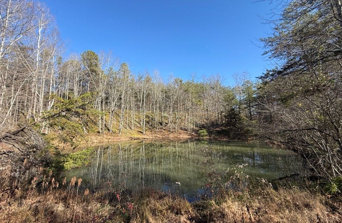 001 the pond located just below the ideal building spot