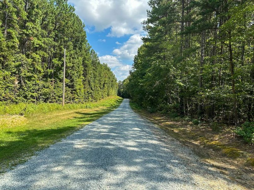Large Wooded Lot For Sale In A Gated Community Near Mayo Lake