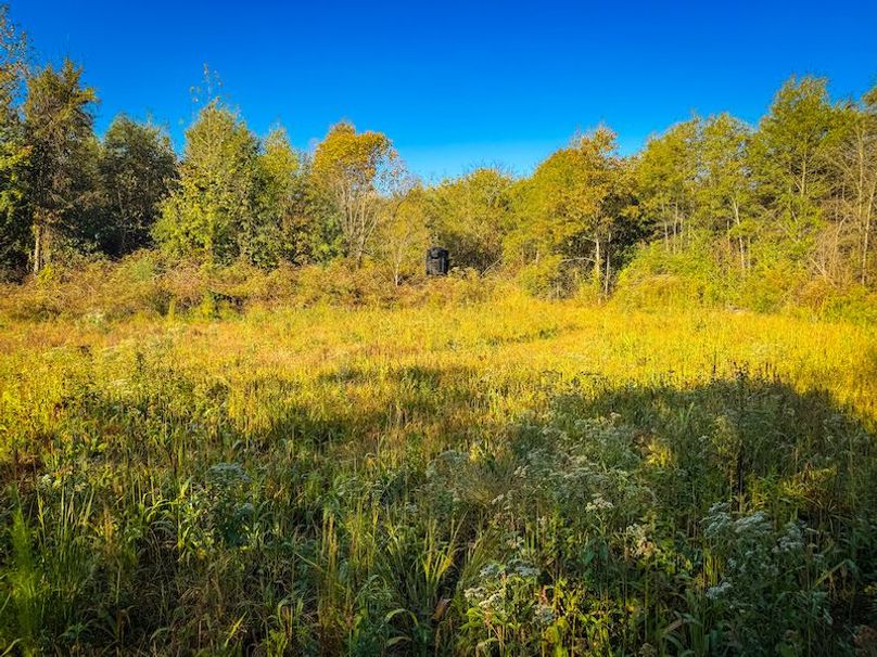 Clay 302.7 Henderson-07