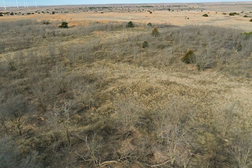 DJI_0583