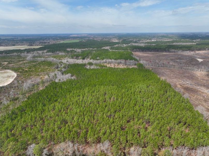 dji_fly_20240227_124614_130_1709056321796_photo