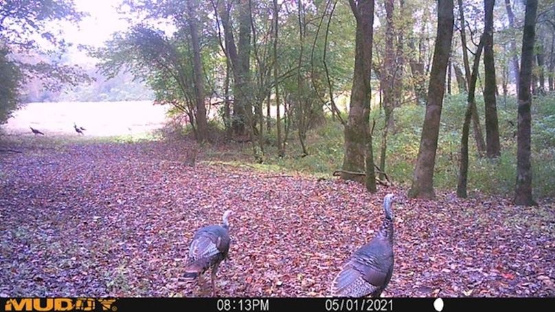 trailcam4