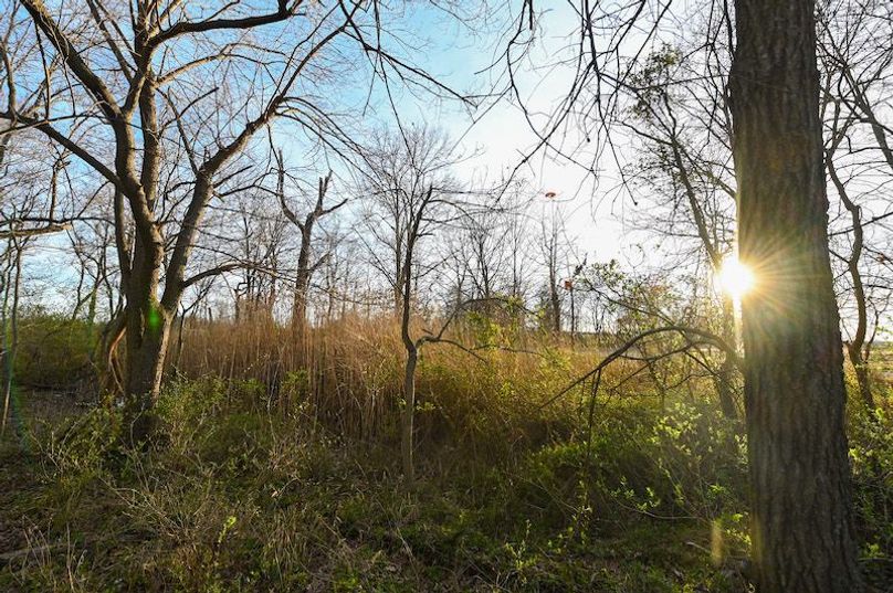 vandalia 450 (2)-2307