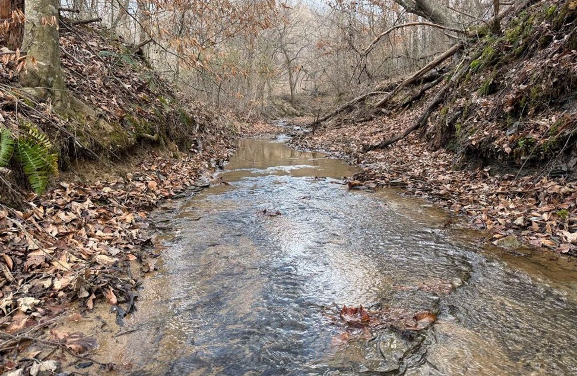 002 rushing headwaters of Raccoon Branch-2