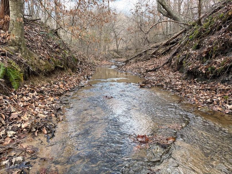 002 rushing headwaters of Raccoon Branch-2
