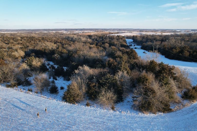 DJI_0479