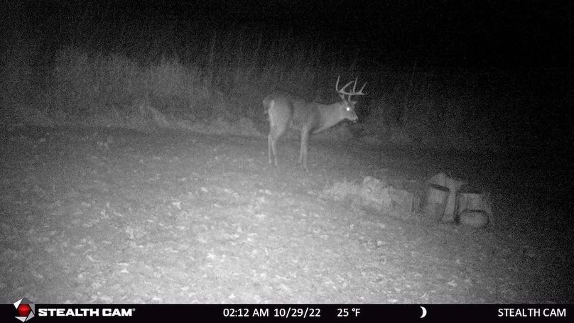 Big guy in first stand