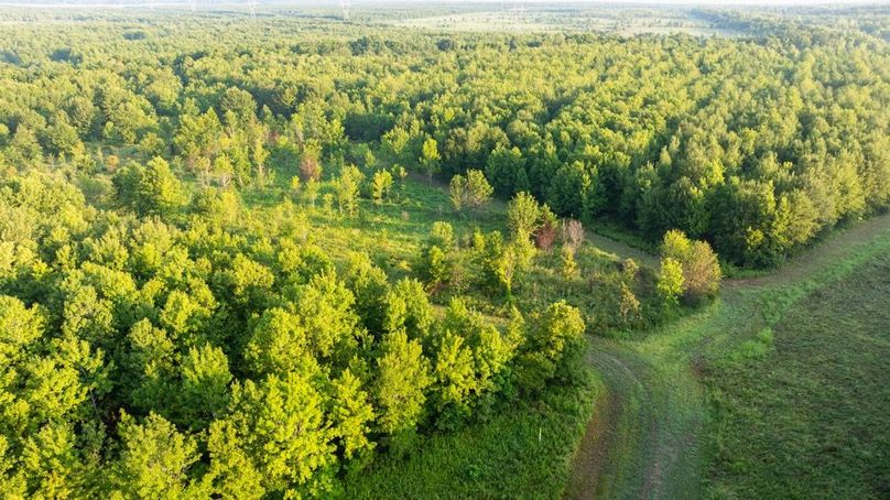 MadisonParLa1372-093